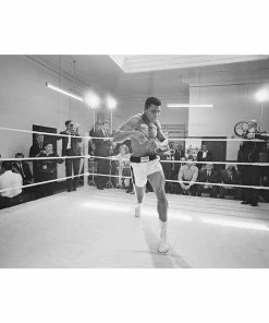 Jonathan Adler "Ali In Training" From Getty Images