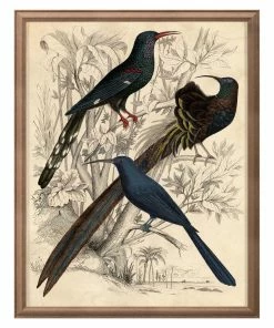 Jonathan Adler Gallivani Birds 2