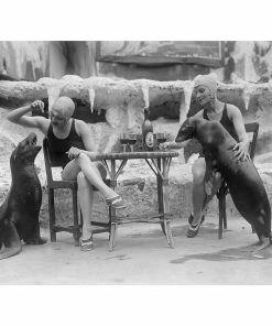 Jonathan Adler "Animal Friends" From Getty Images