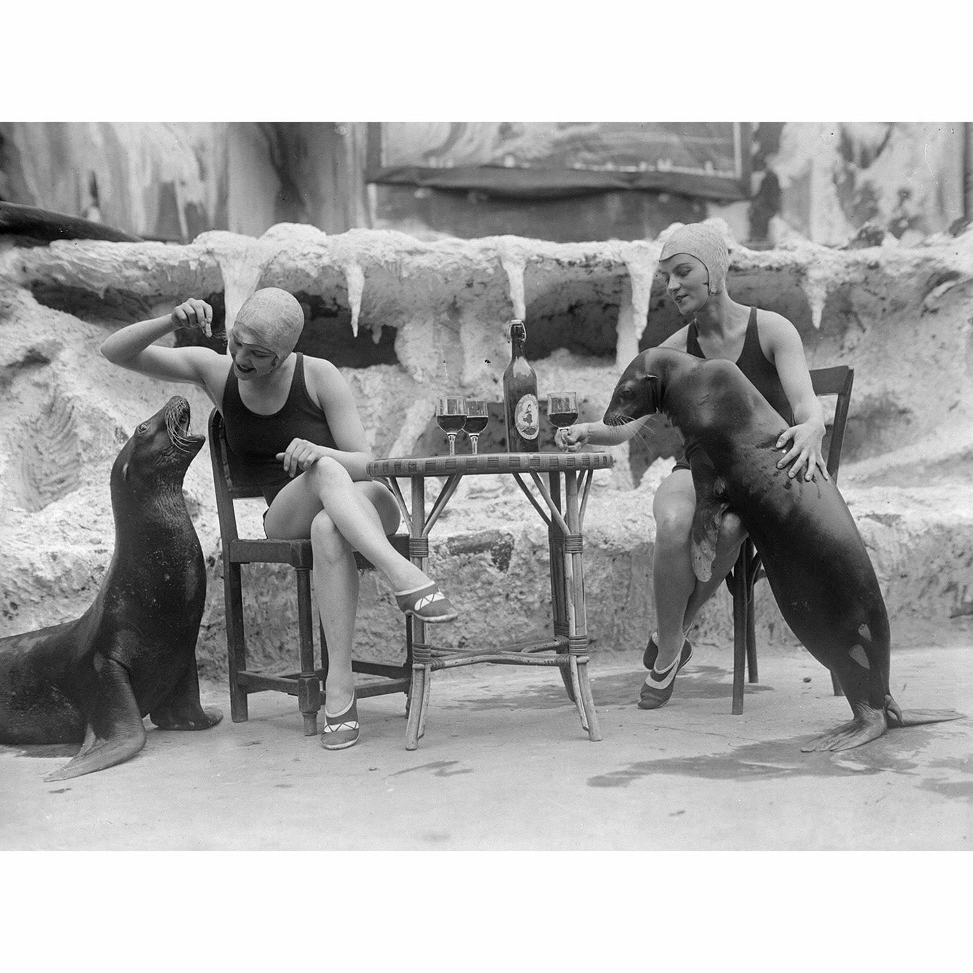 Jonathan Adler "Animal Friends" From Getty Images