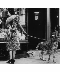 Jonathan Adler "Cheetah Who Shops" From Getty Images