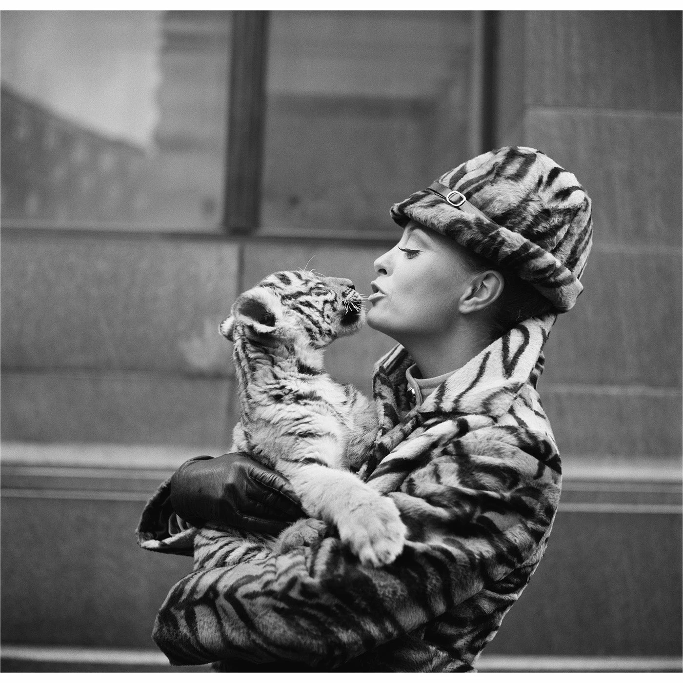 Jonathan Adler "Tiger Lady" From Getty Images