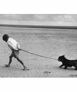 Jonathan Adler "Walking The Dog" From Getty Images